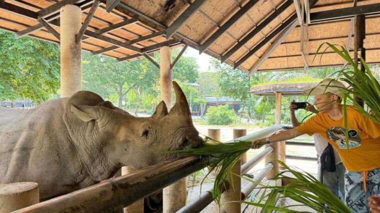 bangkok-elephant-sanctuary-and-khao-kheow-open-zoo-tour