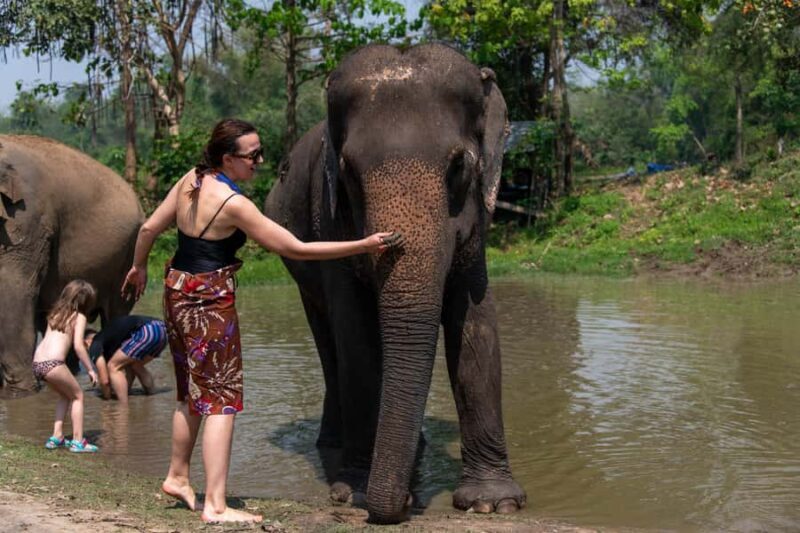 Bangkok: Elephant Sanctuary & Erawan Waterfall Tour - Why This Tour Works for Travelers