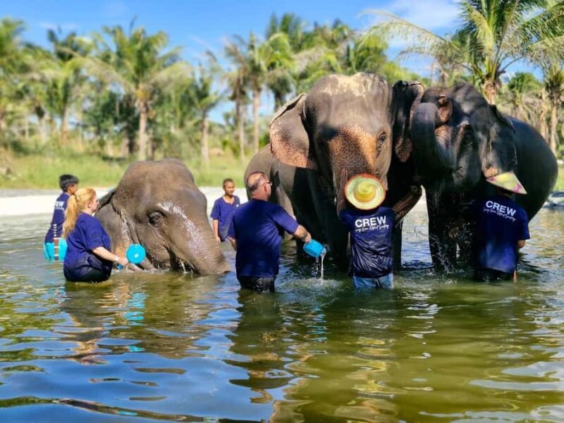 Bangkok: Elephant Sanctuary &Khao Kheow Open Zoo (Moodeng) - An In-Depth Look at the Experience
