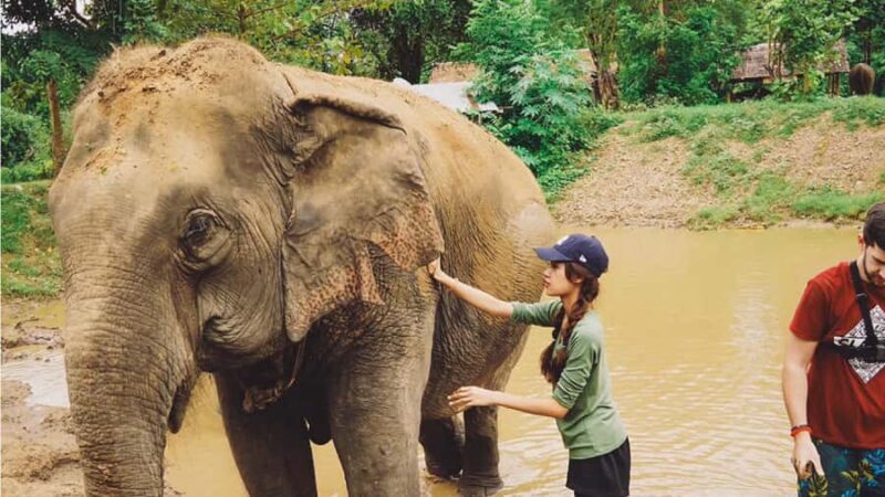 Bangkok: Elephants World & Erawan Waterfall in Kanchanaburi - A Deep Dive Into the Experience