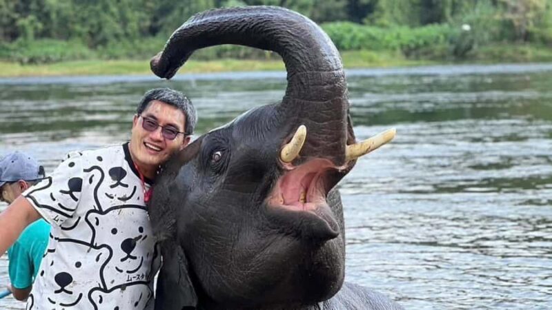 Bangkok: Elephants World & Erawan Waterfall in Kanchanaburi - Frequently Asked Questions