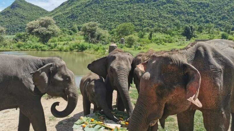 bangkok-elephants-world-erawan-waterfall-in-kanchanaburi
