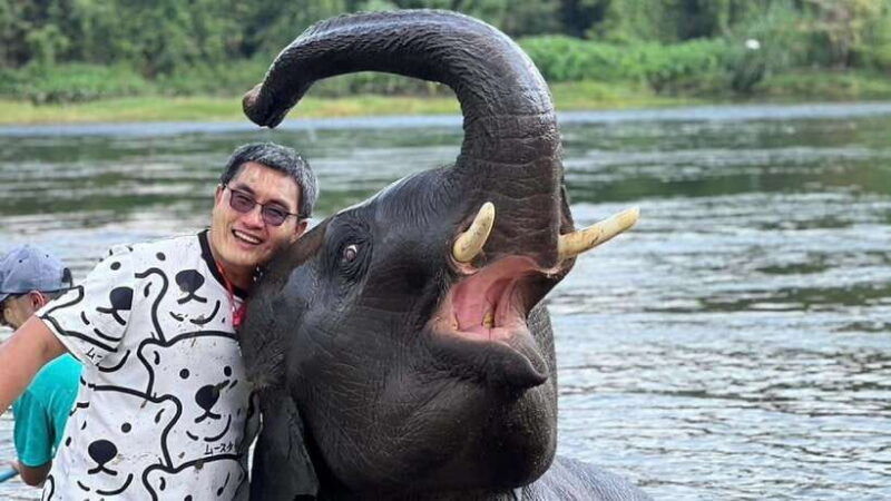 bangkok-elephants-world-erawan-waterfall-in-kanchanaburi