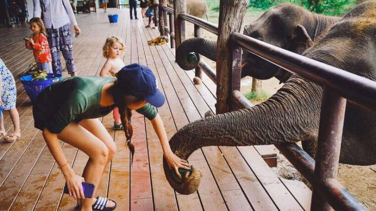 bangkok-elephants-world-erawan-waterfall-in-kanchanaburi