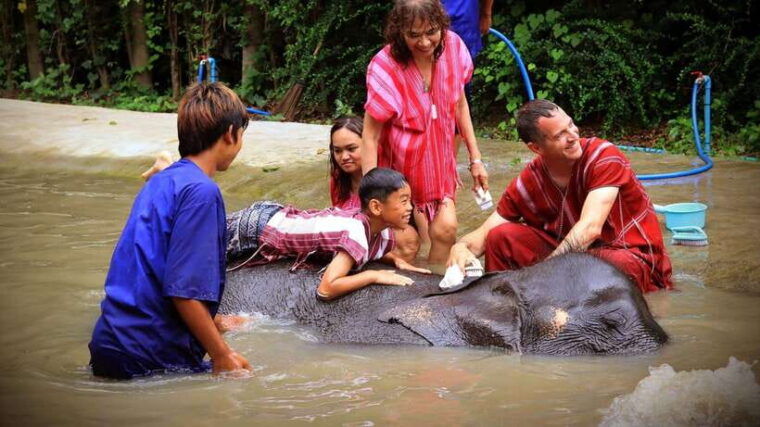bangkok-ethical-elephant-care-half-day-with-transfers
