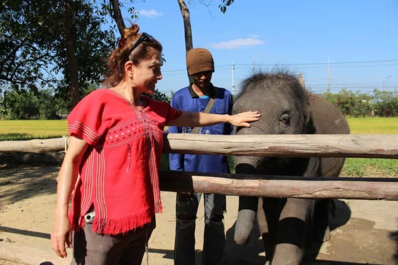 Bangkok Floating & Train Market, Elephant Camp Private Van - The Sum Up