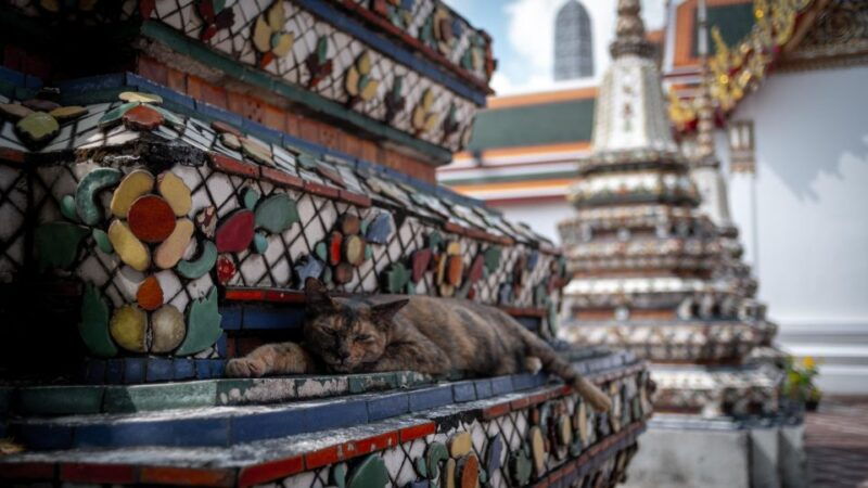 bangkok-grand-palace-wat-pho-and-wat-arun