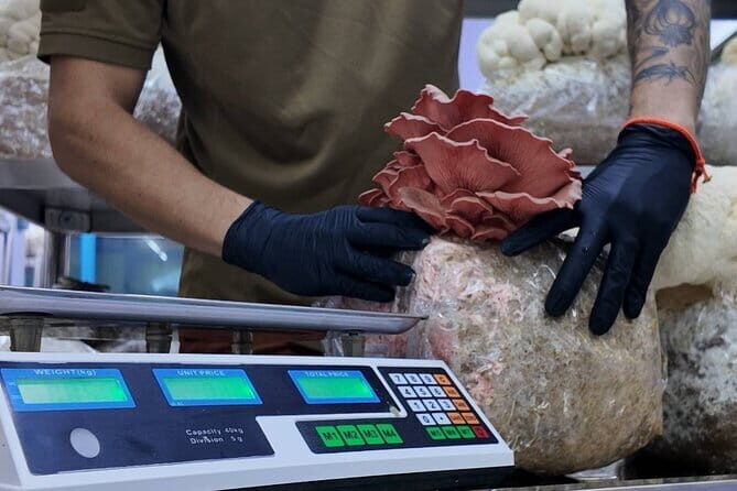 Bangkok Hands on Thai Cooking Class 4 Daily Set Menus - Authenticity and Value