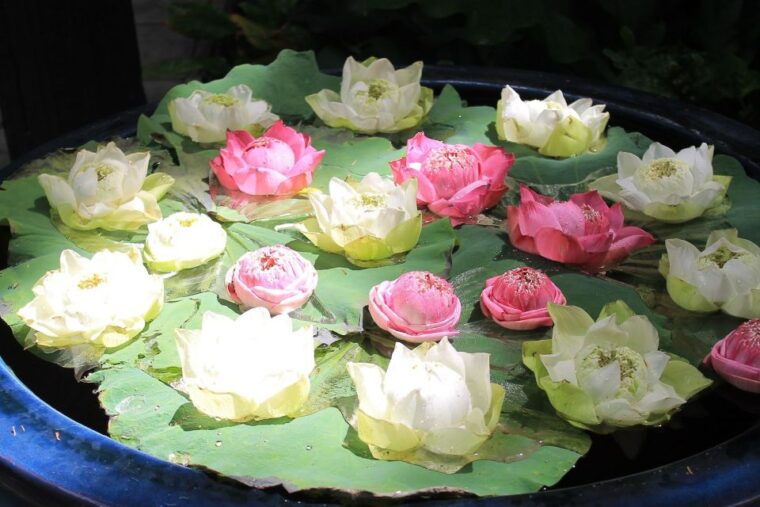 bangkok-jim-thompson-house-and-baan-krua-community-tour