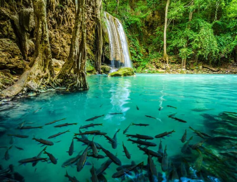 Bangkok: Kanchanaburi, River Kwai & Erawan Fall Private Tour - Final Thoughts