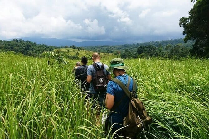 Bangkok: Khao Yai Nature Trails & Heaw Suwat Waterfall - Key Points