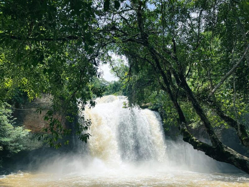 bangkok-khao-yai-nature-wildlife-private-car-charter-tour