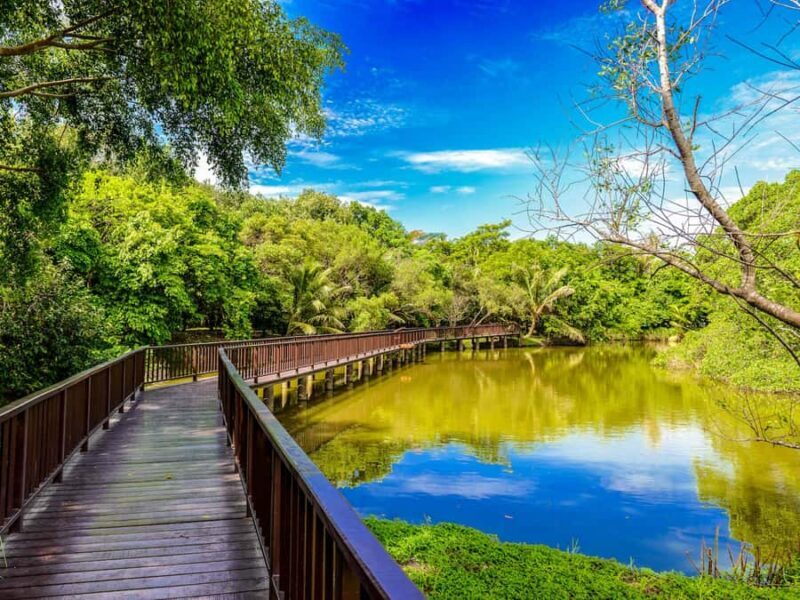 Bangkok: Khlong Toei Market & Bang Krachao Island Bike Tour - Who Should Sign Up?
