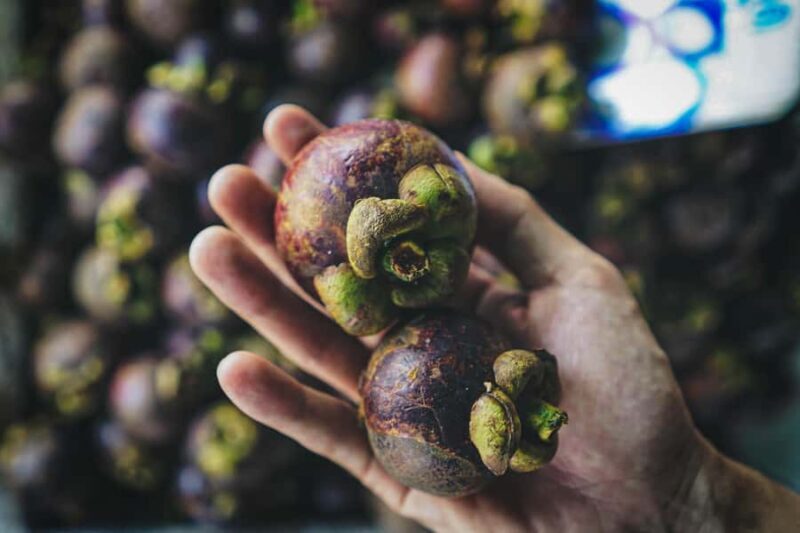 Bangkok: Khlong Toei Market & Bang Krachao Island Bike Tour - FAQ