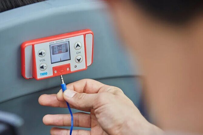 Bangkok Landmarks Double Decker Hop on Hop Off Ticket - The Final Word: Who Is This Tour For?