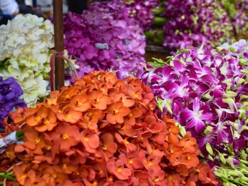 Bangkok: Lotus Fields, Orchid Farm, and Flower Market Tour - FAQ