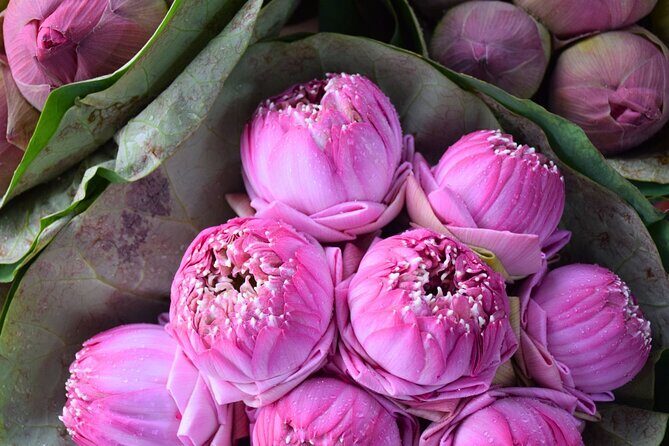 Bangkok Lotus Fields, Orchid Farm, and Flower Market Tour - A Closer Look at the Itinerary