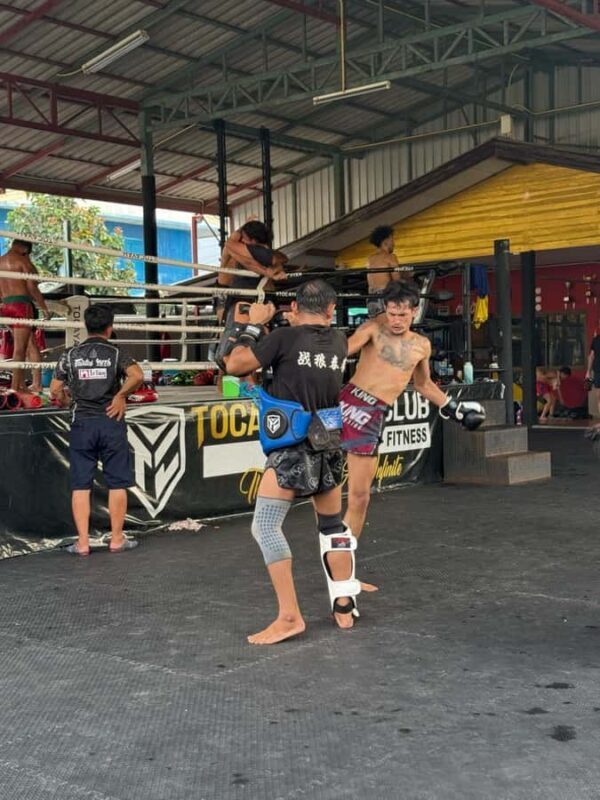 Bangkok: Muay Thai Training Experience in Professional Gym - Key Points