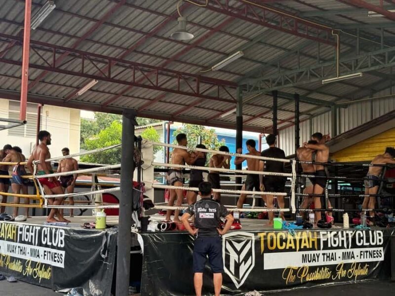 Bangkok: Muay Thai Training Experience in Professional Gym - Final Thoughts: Who Should Try This?