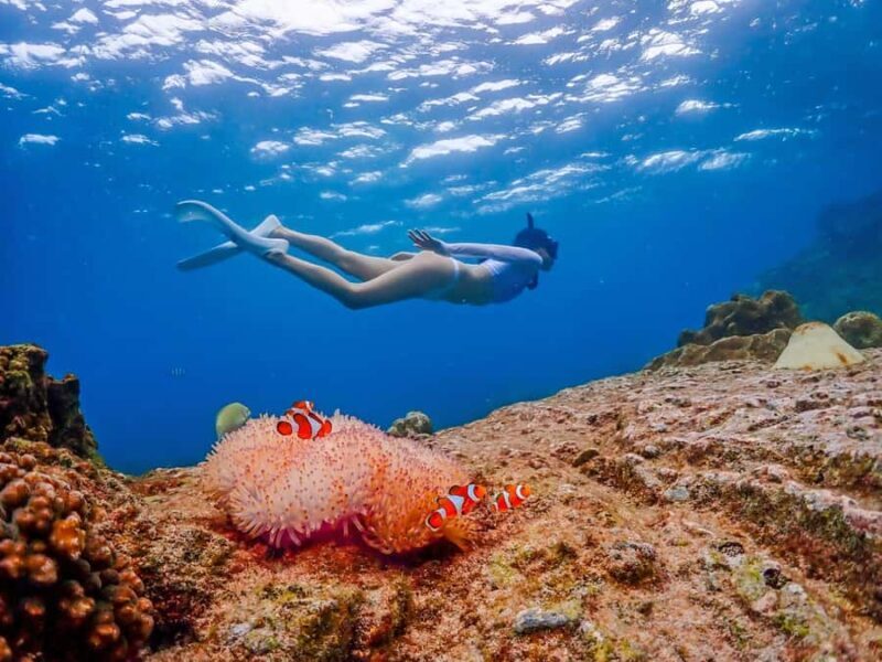 Bangkok: Nemo Island Day Trip with Drone Photos and Lunch - The Journey Begins: From Bangkok to Nemo Island