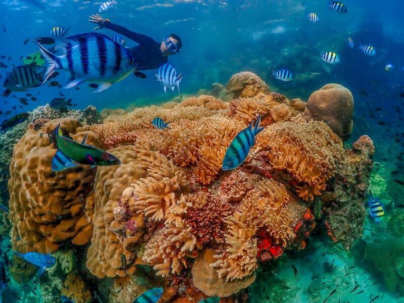 Bangkok: Nemo Island Day Trip with Drone Photos and Lunch - Lunch by the Sea