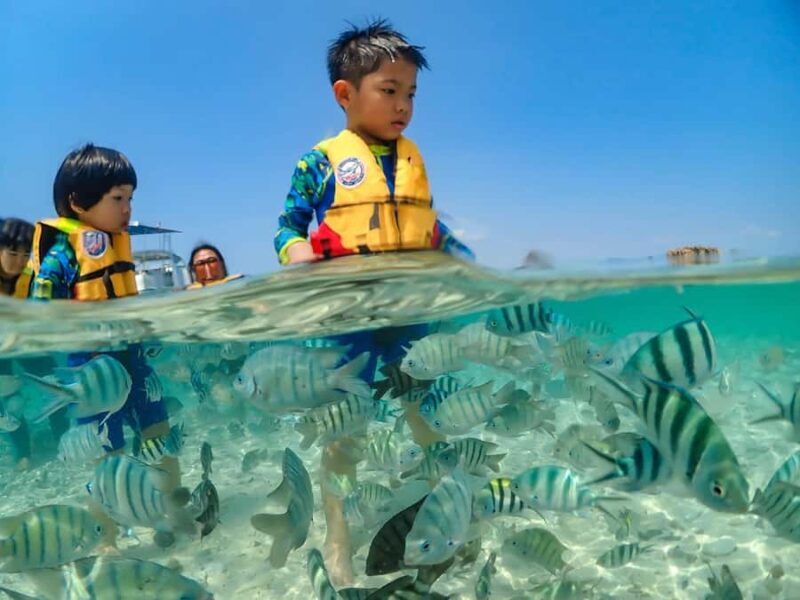 Bangkok: Nemo Island Day Trip with Drone Photos and Lunch - Return Journey and Additional Details