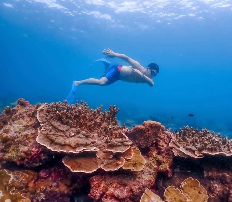 Bangkok: Nemo Island Day Trip with Drone Photos and Lunch - Practical Tips for Your Trip