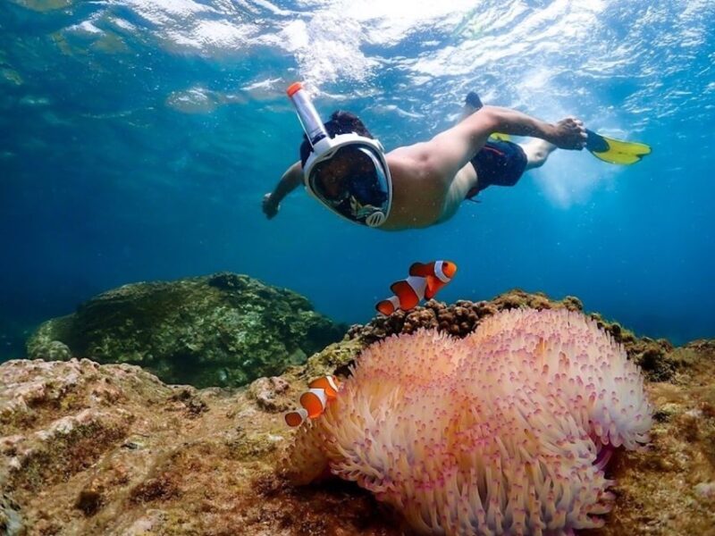 Bangkok: Nemo Island Day Trip with Drone Photos and Lunch - Authentic Experiences from Real Travelers