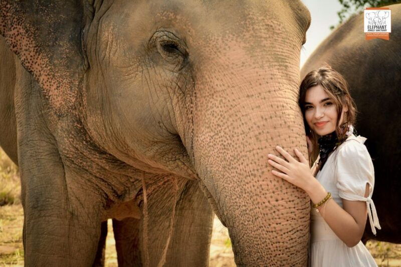 bangkok-pattaya-elephant-jungle-sanctuary-half-day-tour