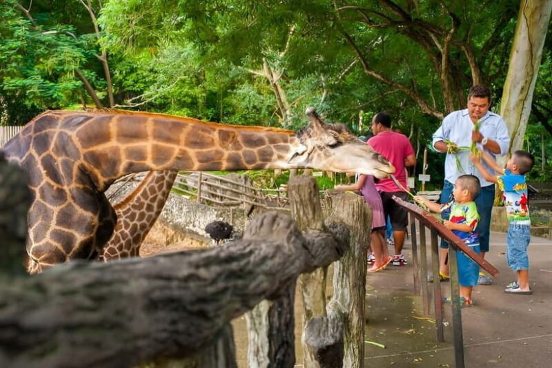 Bangkok/Pattaya: Khao Kheow Zoo Private Tour with Pickup - A Detailed Look at the Tour Experience