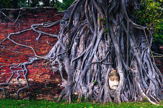 Bangkok Private Car: Ayutthaya Mahathat, Wat Chai & Market (8h) - Booking, Support, and Practical Info