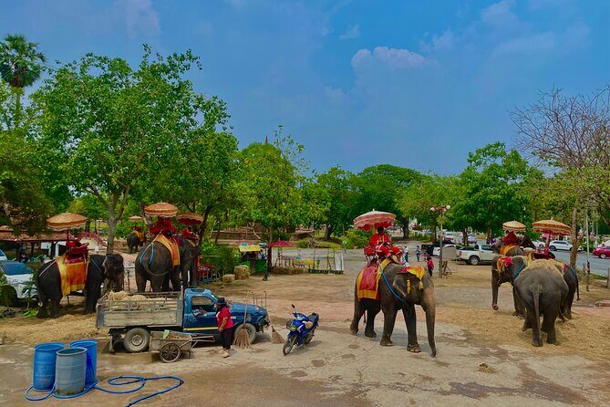 Bangkok Private Car: Ayutthaya Park, Mahathat & Market (8h) - Who Is This Tour Best Suited For?