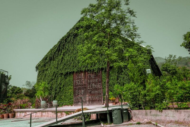 bangkok-private-customizable-khao-yai-national-park-tour