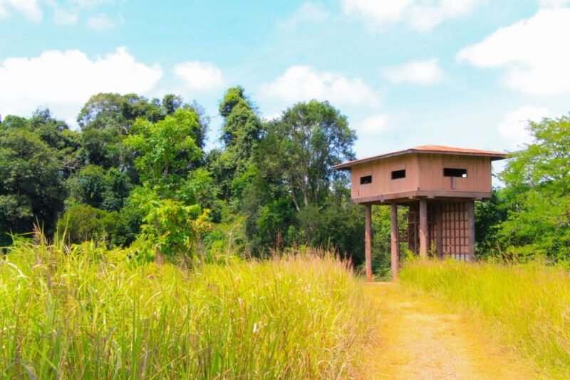 bangkok-private-customizable-khao-yai-national-park-tour