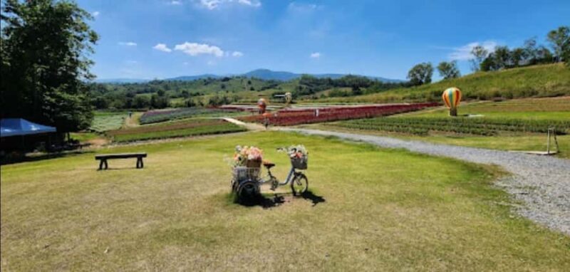 Bangkok: Private Khao Yai Day Tour - Key Points