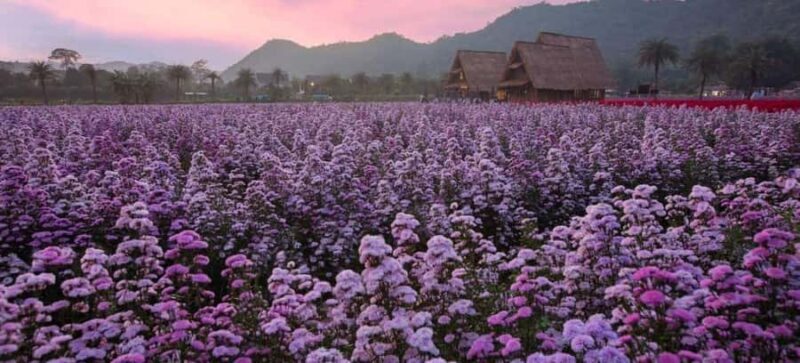 Bangkok: Private Khao Yai Day Tour - Who Will Love This Tour?