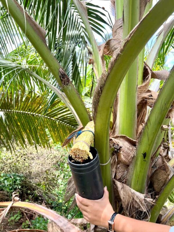 Bangkok: Private Railway & Floating Market with Paddle Boat - FAQ