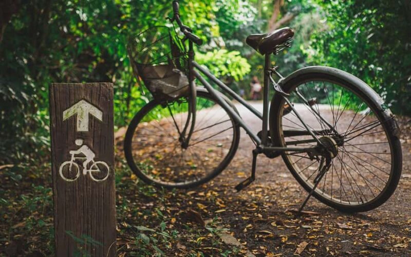 Bangkok: Private Tour Bang Kachao and Bang Nam Phueng - Key Points