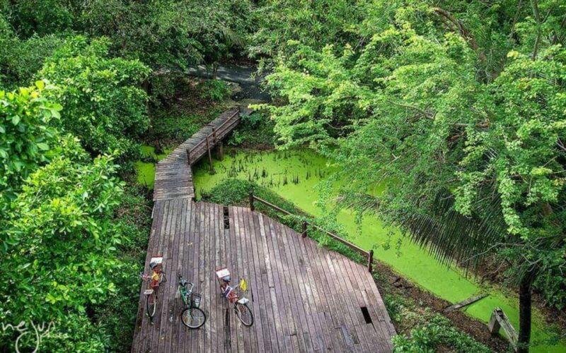 bangkok-private-tour-bang-kachao-and-bang-nam-phueng