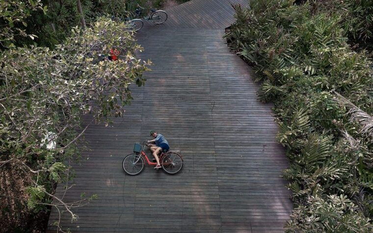 bangkok-private-tour-bang-kachao-and-bang-nam-phueng