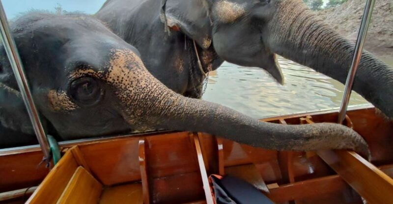 bangkok-private-trip-to-ayutthaya-temples-night-market