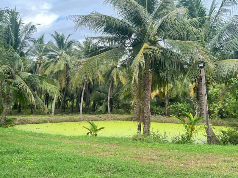 Bangkok: Railway Market, Floating Market, and Boat Tour - An In-Depth Look at the Tour