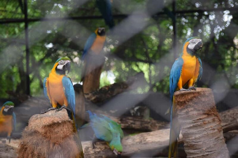 Bangkok Safari & Marine Park - What Makes This Experience Stand Out?