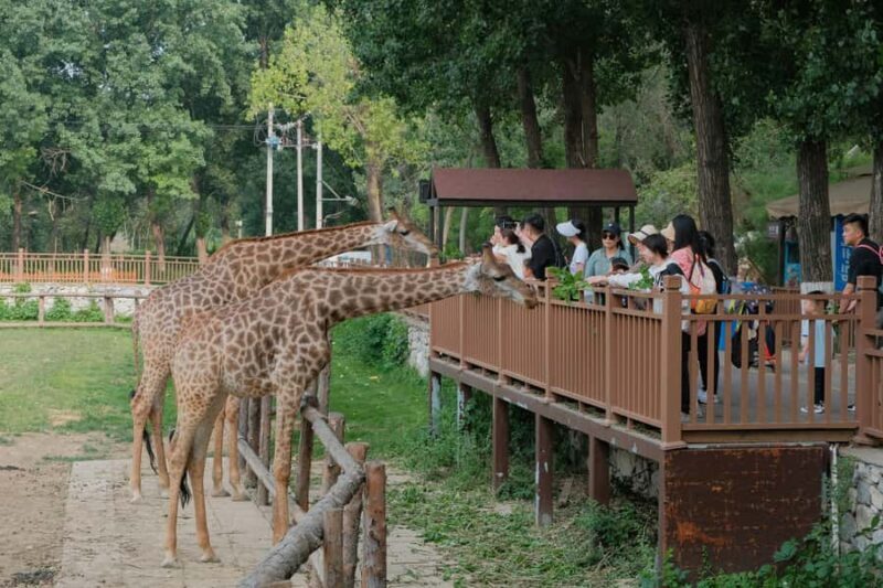 Bangkok Safari & Marine Park - Assessing the Cost and Value