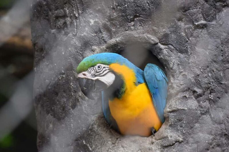 Bangkok Safari & Marine Park - Who Should Consider This Tour?