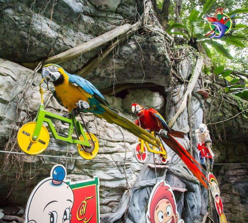 bangkok-safari-world-hotel-and-private-transfer