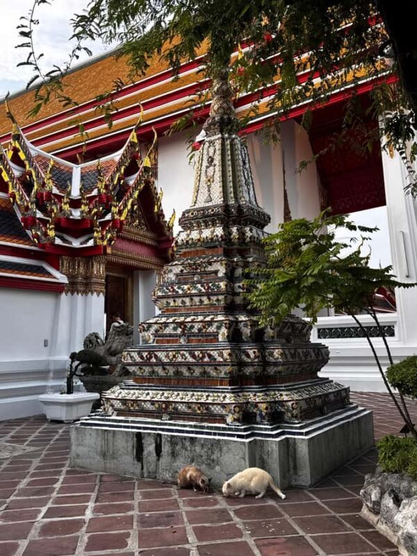 Bangkok's Riverside Cultural Walk: Wat Pho & Wat Arun - Who Is This Tour Best For?