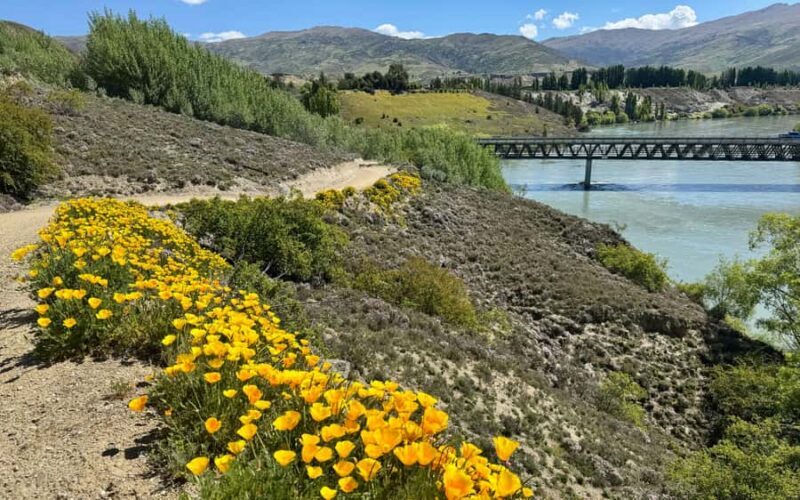 Bannockburn Winery eBike Tour & Private Carrick Winery Lunch - Exploring Central Otago on Two Wheels