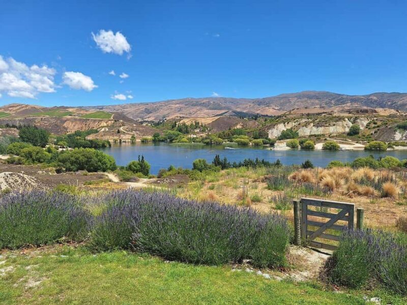 Bannockburn Winery eBike Tour & Private Carrick Winery Lunch - Who Will Love This Tour?