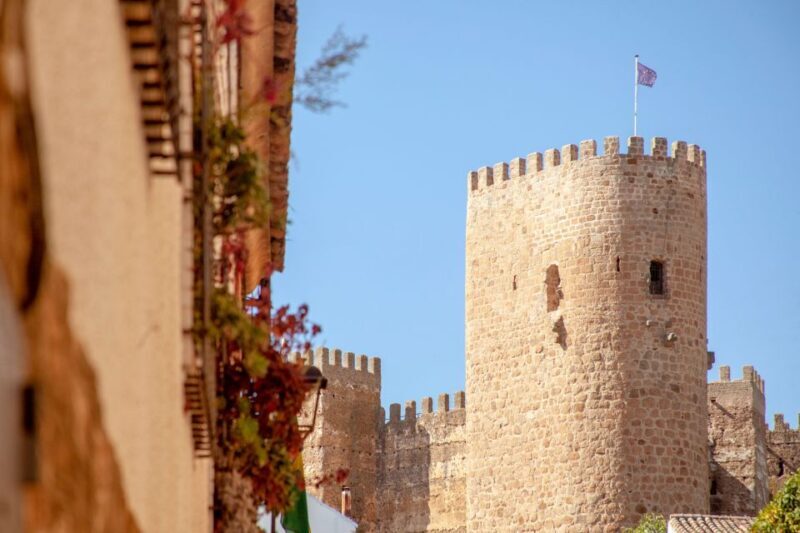 Baños de la Encina: Bury al-Hamma Castle Guided Tour - Who Should Consider This Tour?